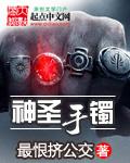 圣魔手镯属性